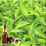 Чайное дерево эфирное масло (Tea Tree Essential Oil) 51% Terpinen-4-ol, 10 мл