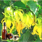 Иланг-иланг коморский эфирное масло третьей выгонки (Ylang-Ylang 100% pure essential oil Comoro Essential Oil)