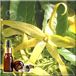 Иланг-иланг натурально-восстановленное эфирное масло (Ylang-Ylang Natural Essential Oil Restoring)