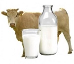 Молочный протеин гидролизованный жидкий (чистый, без жировой фракции), 10 г