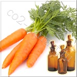 Сверхкритический CO2 экстракт моркови (витамин Е не менее 2%, каротиноиды 400мг%)