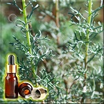 Полынь горькая эфирное масло (Artemisia absinthium Essential Oil), Германия