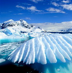 Antarcticine (Антарктицин) - пептид для уменьшения глубины морщин, 5 г