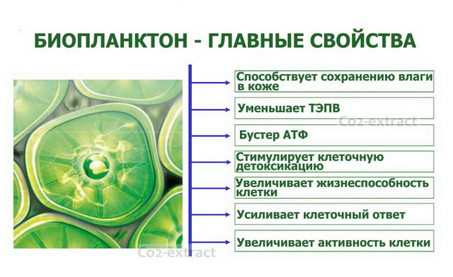 Биопланктон - основные свойства Биопланктон - основные свойства
