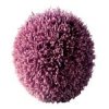 Actiporine 8G (��������� 8G) - ��� ��������� ���������