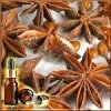 ���� ���������� ������� ����� (������), ��������, Anise Star Essential Oil