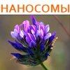 �������� (BAKUCHIOL) � ���������