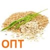 Oat Beta-Glucan (���� ������ ����) ���