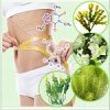 Bio-Slim PF (���-����)