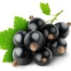 ��������� ������ ����� (BLACKCURRANT) ����� ��������� ������ �����, 50 ��