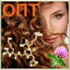 Capixyl� (��������), Lucas Meyer Cosmetics ���