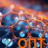 EverLipid EFA (���� �����) ���