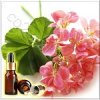 ������ ���������� ������� ����� (Geranium Egyptian Essential Oil)
