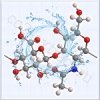 ������������ ������� ����������������������� 6000 Da (Hyaluronic Acid ULMW)