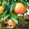 ��������� ������� ����� (Grapefruit Essential Oil), 10 ��