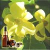 �����-����� ��������� ������� ����� ������ ������� (Ylang-Ylang  ESSENTIAL OIL 100% pure and natural COMOROSl)