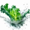 ����� �������� ��� (Active Juice Kale)