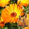 ���������������� CO2 �������� ���������, (����������� �� ����� 800 ���%)