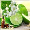 ���� ������� �����, ������ (Lime Essential Oil), 10 ��