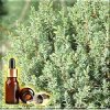 ������������ (������) ������� ����� (Juniper Tree Essential Oil), 5 ��