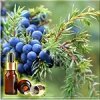 ������������� ���� ������� ����� (Juniper Berry Essential Oil)