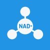 NAD+ (��� ����) Nicotinamide adenine dinucleotide