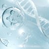 Peptide 15 Complex (�������� 15 ��������), �����