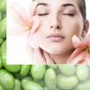 PHOSPHOLIPON� 80H (���������� 80H)