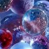 Rodacea RHODYSSEY (�������) - ��������������� ������� ���������