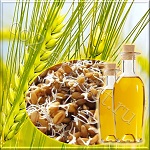 ��������� ������� ����� (Wheat Germ Oil 100%) ��������������, ��������