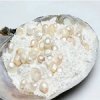 Pearl powder (��������� �������), ������