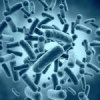 ����� �������������� ������ (Bifida Ferment Lysate), ������