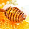 Honeyquat (��������) - ��������� ��� �����, ������������������ ���