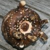 ������ ������ (���������� �����������)