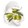 Olive Milk, ������� (Duellberg Konzentra)