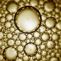 Nikkomulese LC (���������� LC), 20 �