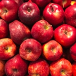 �������� ��������� ������ (AC ExoTone)