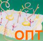 ���������-�������� ��������, Amisol Trio, ��� ���