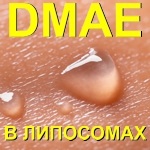  (DMAE)  , 10 