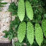 �������� ��������� ������� ���� (AC ExoRestore)