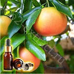 Грейпфрут эфирное масло (Grapefruit Essential Oil), 10 мл