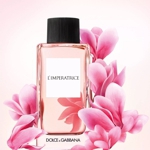 L�Imperatrice D&G (�������) ������ Dolce & Gabbana