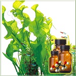 ��������� �������� �����-������������ 20%