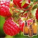 Сверхкритический CO2 экстракт малины ягоды (Витамин Е, % не менее 1%,Терпены и терпеноиды, % 6, флавоноиды 2%)