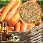 Моркови семян эфирное масло (Carrot Seed Essential Oil), 5 мл