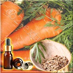 Моркови семян эфирное масло экстра (Carrot Seed Essential Oil)
