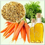 Моркови семян масло холодного прессования, США (Carrot Seed Oil) Моркови семян масло холодного прессования, США (Carrot Seed Oil)