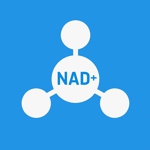 NAD+ (��� ����) Nicotinamide adenine dinucleotide
