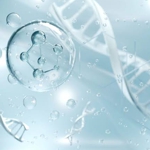 Peptide 15 Complex (�������� 15 ��������), �����