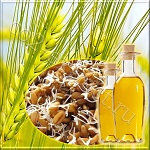 Зародышей пшеницы масло (Wheat Germ Oil 100%) рафинированное ОПТ, Испания, 1000 мл